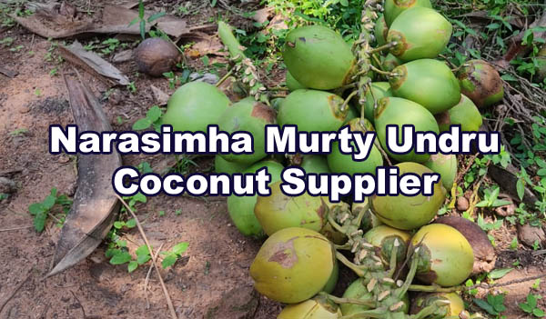 murty-Coconut-Supplier.jpg